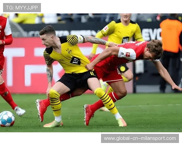 拜仁太依赖个体